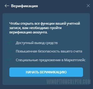 верификация данных в VideForex