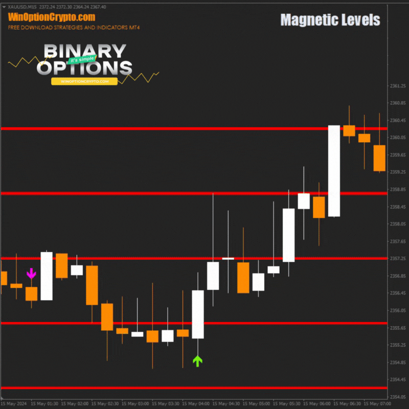 opening a call option in the magnetic levels indicator