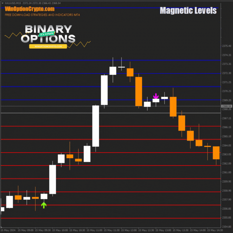 opening a put option with the magnetic levels indicator