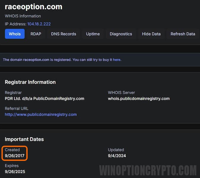 RaceOption domain registration information