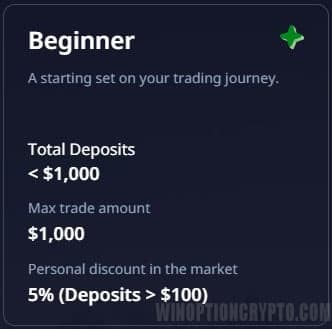 profile level beginner