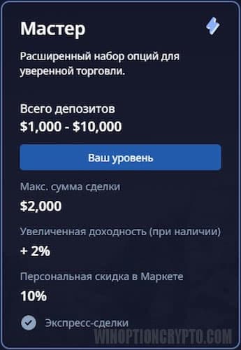 уровень профиля мастер