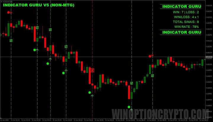график Guru V5