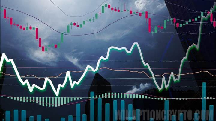 Vista previa del artículo