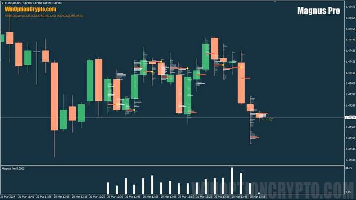 Indicador Magnus Pro