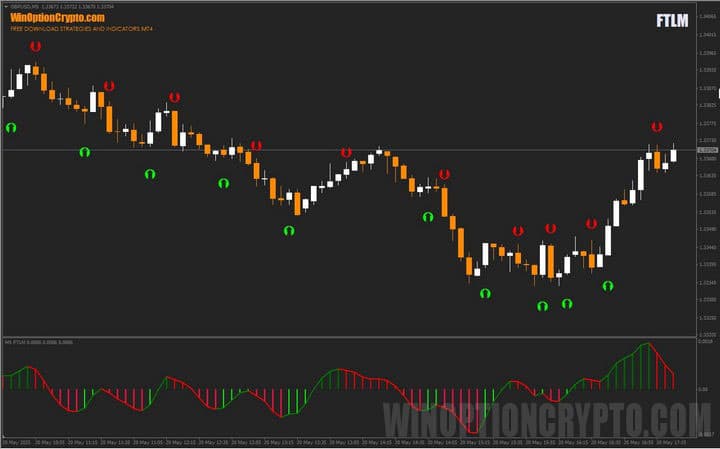 preview of the article about FTLM